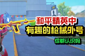 盘点和平精英中的枪械外号！你都认识吗！视频封面