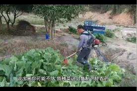 自制打虫药视频封面