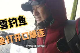 大雪钓鱼：把鱼打开口爆连，气温零下4℃鲫鱼如此暴躁，冬季饵料视频封面