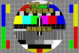 疯狂实验（分享一个奇怪的故事）视频封面