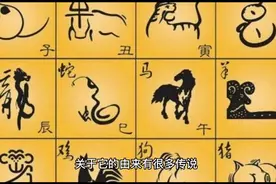 十二生肖中老鼠最牛B视频封面