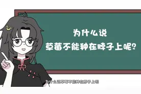情侣必看，为什么草莓不能种在脖子上呢？视频封面