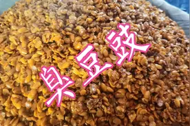 农村婆婆做麻辣臭豆豉，经过48小时的发酵，越臭越好吃视频封面