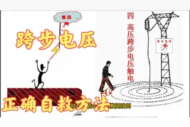 电工知识：外出游玩遇雷电“跨步电压”该如何正确自救？免费教您