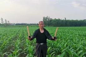农民做的玉米追肥神器厉害了，不用花钱效率高，4亩地只用30分钟视频封面