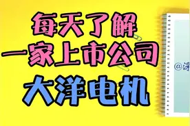 每天了解一家上市公司212：大洋电机视频封面