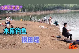 实拍：东莞长安五点梅水库，周末好多人来钓鱼摸田螺，视频封面