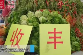 历城区第四届“中国农民丰收节”暨港沟农产品展销会开幕图片