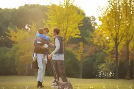 【403碎碎念】博君一肖是真的！觉得不是的，自己去考古！视频封面