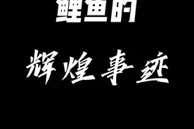 鲤鱼的辉煌事迹@鲤鱼Ace视频封面