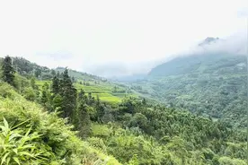 今天我们去麻栗坡老山对越自卫反击战炮兵阵地原址深感和平不易视频封面