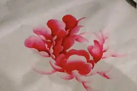 （3）手把手教你如何画粉色牡丹，步骤清晰简单易学，干货满满！视频封面