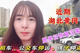 近期湖北黄冈，出租车、公交车停运，学生停课，愿早日恢复正常视频封面