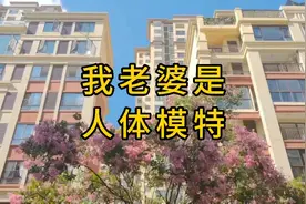 妻子是人体模特视频封面