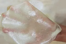 正宗筋饼的做法，做法简单，做出来的饼薄如蝉翼，还非常劲道！！