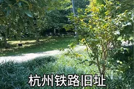 清朝时期杭州就开始铁路发展。视频封面