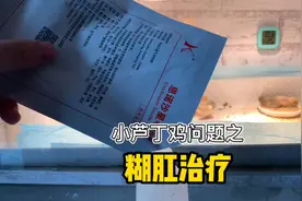 小芦丁鸡的糊肛治疗视频封面