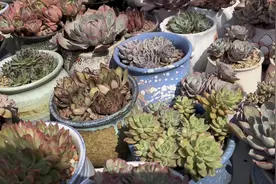 最近没有更新视频，看看我都干了什么事情视频封面