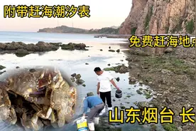 夏天来烟台长岛赶海有多爽？分享免费赶海地，螃蟹海螺收获满满视频封面
