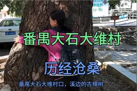 广州番禺大石大维村，城市中的乡村，历经岁月沧桑！视频封面