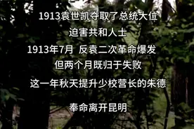 1913年袁世凯夺取总统大位，迫害共和人士，反袁二次革命爆发了视频封面