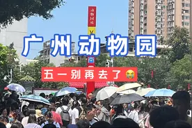 16块的门票，大熊猫的热度，导致五一的广州动物园地铁站沦陷视频封面
