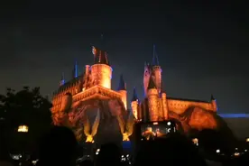 身高1.9米的侄子，鹤立鸡群！他录的哈利波特灯光秀，没挡！