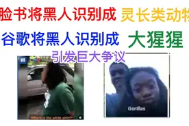 脸书将黑人识别成灵长类动物，谷歌将黑人识别成大猩猩，引发巨大视频封面
