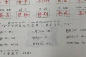 二年级下册语文期末考试卷：选择正确的读音，考查孩子的基础知识视频封面