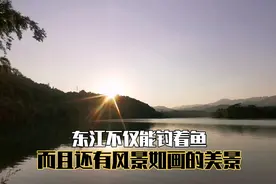 钓获上百条蓝刀鱼（小白条）钓友2米7偶遇二斤左右鲮鱼，切线跑鱼