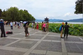 西湖一公园游人荷花拍不停，集贤亭荷花池给人留下唯美画…视频封面