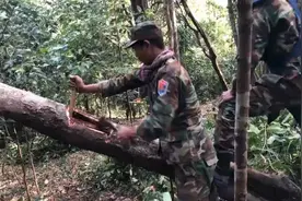 柬埔寨野战部队的野外求生训练视频封面