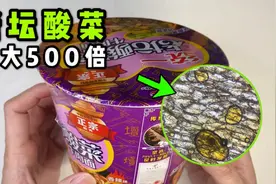 老坛酸菜里到底有没有脚皮？用显微镜放大500倍看个明白！视频封面
