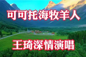 《可可托海牧羊人》凄美感人的沧桑感，王琦唱的太动听了！视频封面