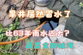连续降雨，农村旱井竟然往外冒水，老人说比63年的雨水都大视频封面