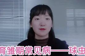 鸡球虫病什么时候预防？球虫病怎么防治视频封面