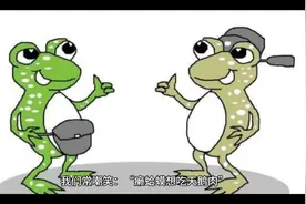 癞蛤蟆与天鹅的故事视频封面