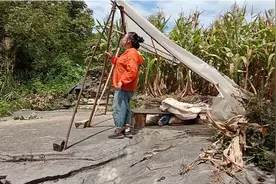 野猪怕火视频封面