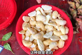 又到吃莲角季节，潮汕大厨教你“反砂莲角”做法，甜，脆，糯视频封面