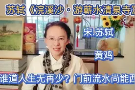苏轼不服：谁道人生无再少？门前流水尚能西，要杀一个回马枪视频封面