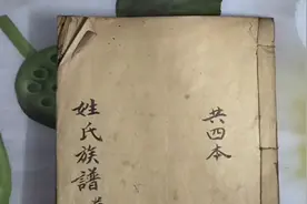 你来自哪里？你祖上有几个风云人物？雍正二年姓氏族谱告诉您。视频封面