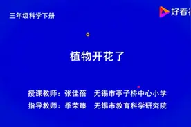 三年级下册科学《植物开花了》视频封面