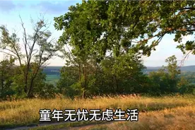 70年代童年，8岁穿开裆裤，芦苇杆做手枪萝卜做火车，经历过吗？视频封面