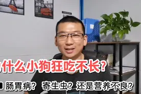 土狗养殖 为什么小狗狂吃不长肉 长不大什么原因？全面解答！！！视频封面