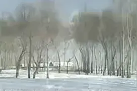 中国唢呐第一人，任同祥，唢呐独奏（一枝花）哀怨苑。请点赞。视频封面