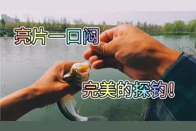 手把手教你用小亮片钓青梢，操作得当，一钓一个准。