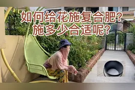 如何给花施复合肥？施多少合适呢？