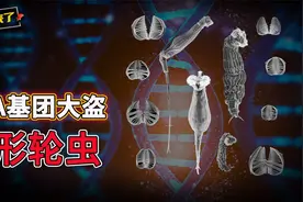 北极24000年前史前生物复活，抢它人基因的蛭形轮虫有多猛！视频封面