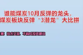 谁能成为煤炭板块反弹的龙头？煤炭“3虎”大比拼视频封面