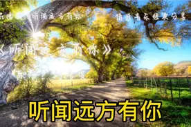 我吹过你吹过的风这算不算相拥，我走过你走过的路，这算不算相逢视频封面